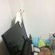 Image for article titled Some of Japan's Most Memorable Twitter Pics of 2014